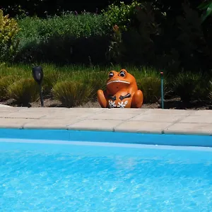 Garden Pool Flat Apartment